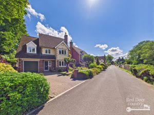 Front- click for photo gallery